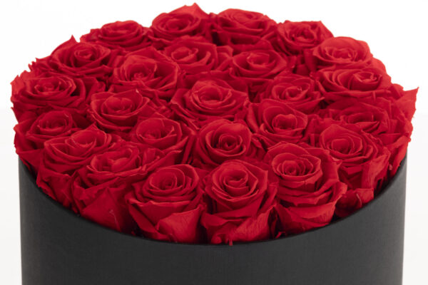 "Noir Bouquet" - Imagen 4
